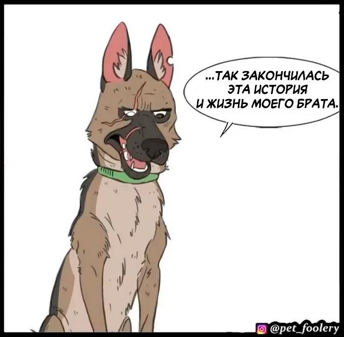 Страница 59