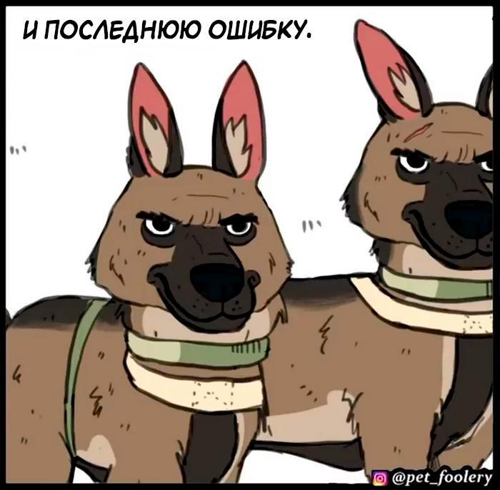 Страница 24