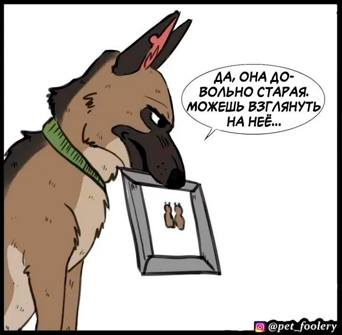Страница 4