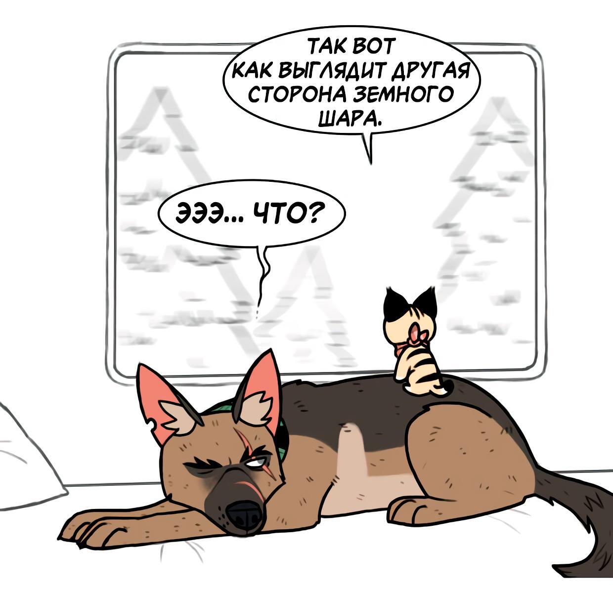 Страница 3