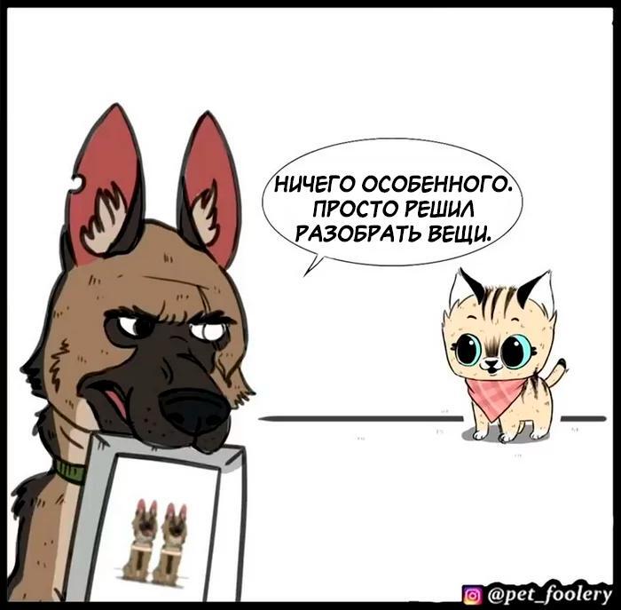 Страница 2