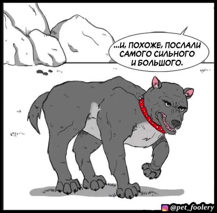 Страница 43