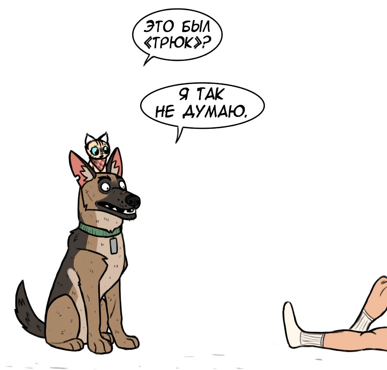 Страница 6
