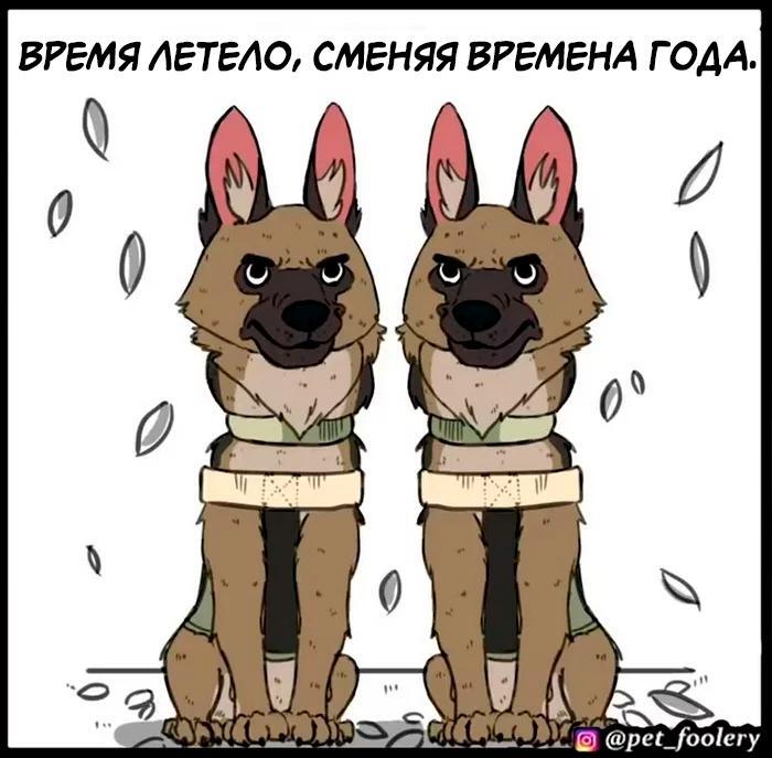 Страница 13