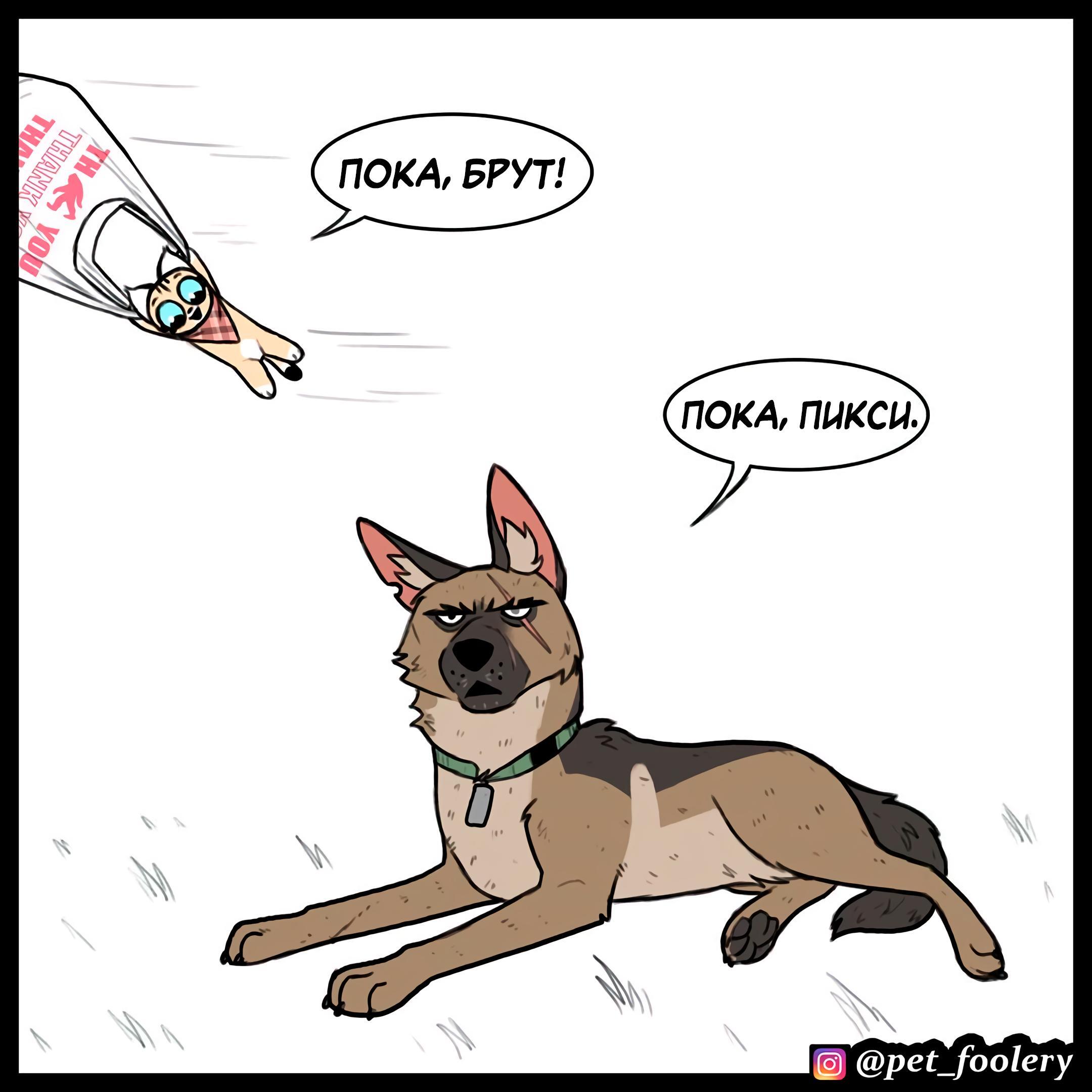 Страница 6