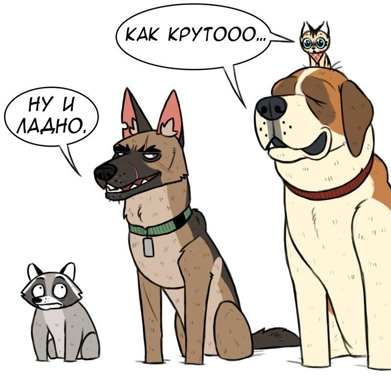 Страница 6