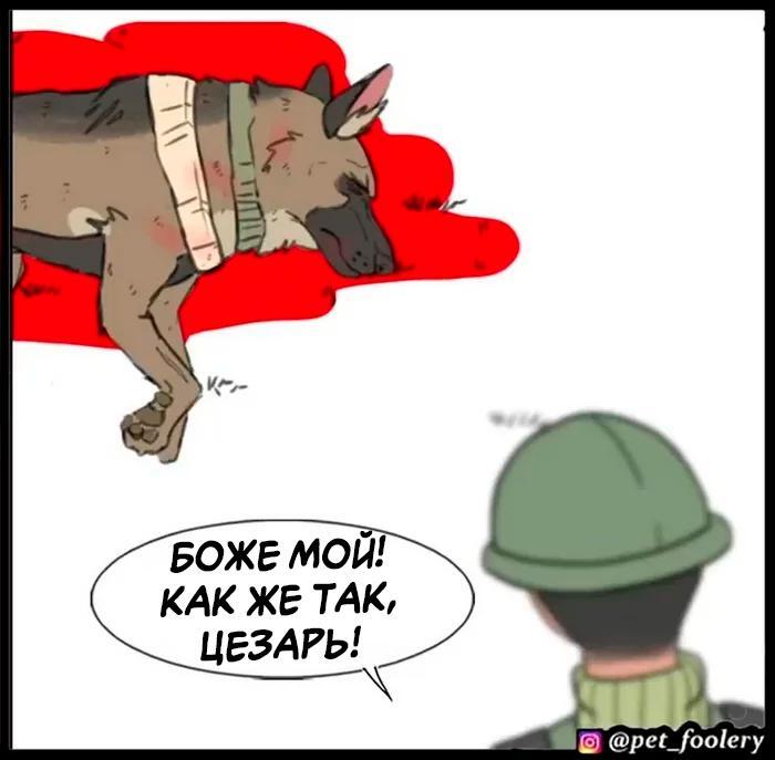 Страница 56