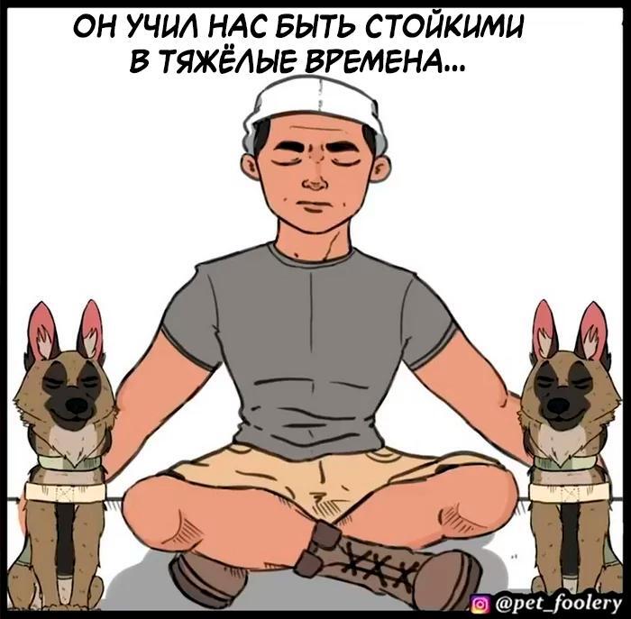 Страница 11
