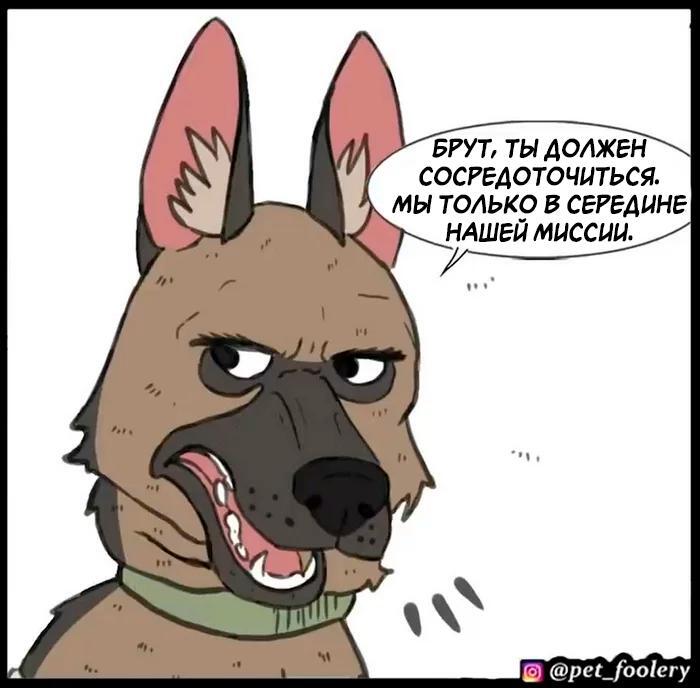 Страница 34