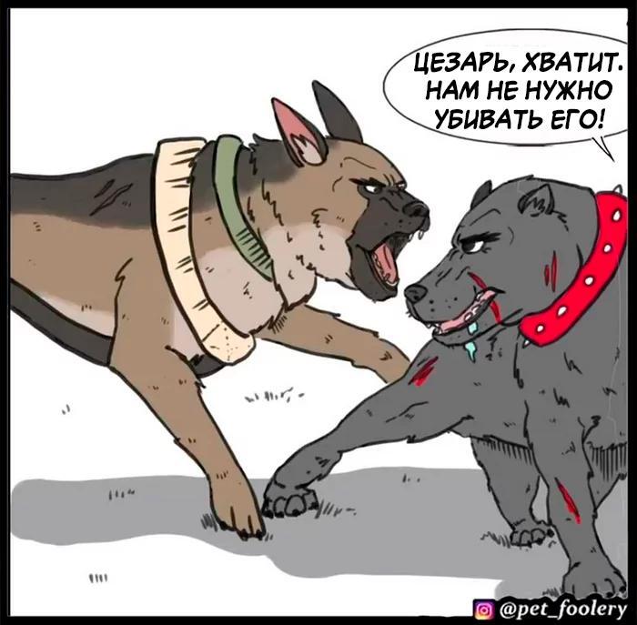 Страница 47