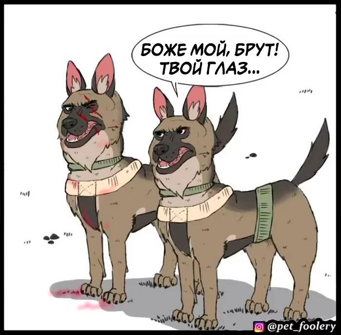 Страница 41
