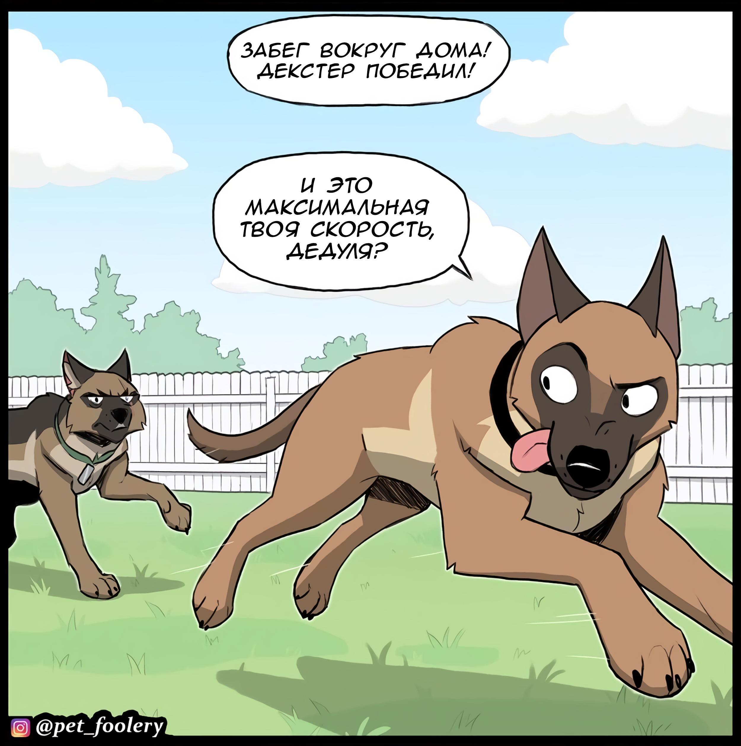 Страница 3