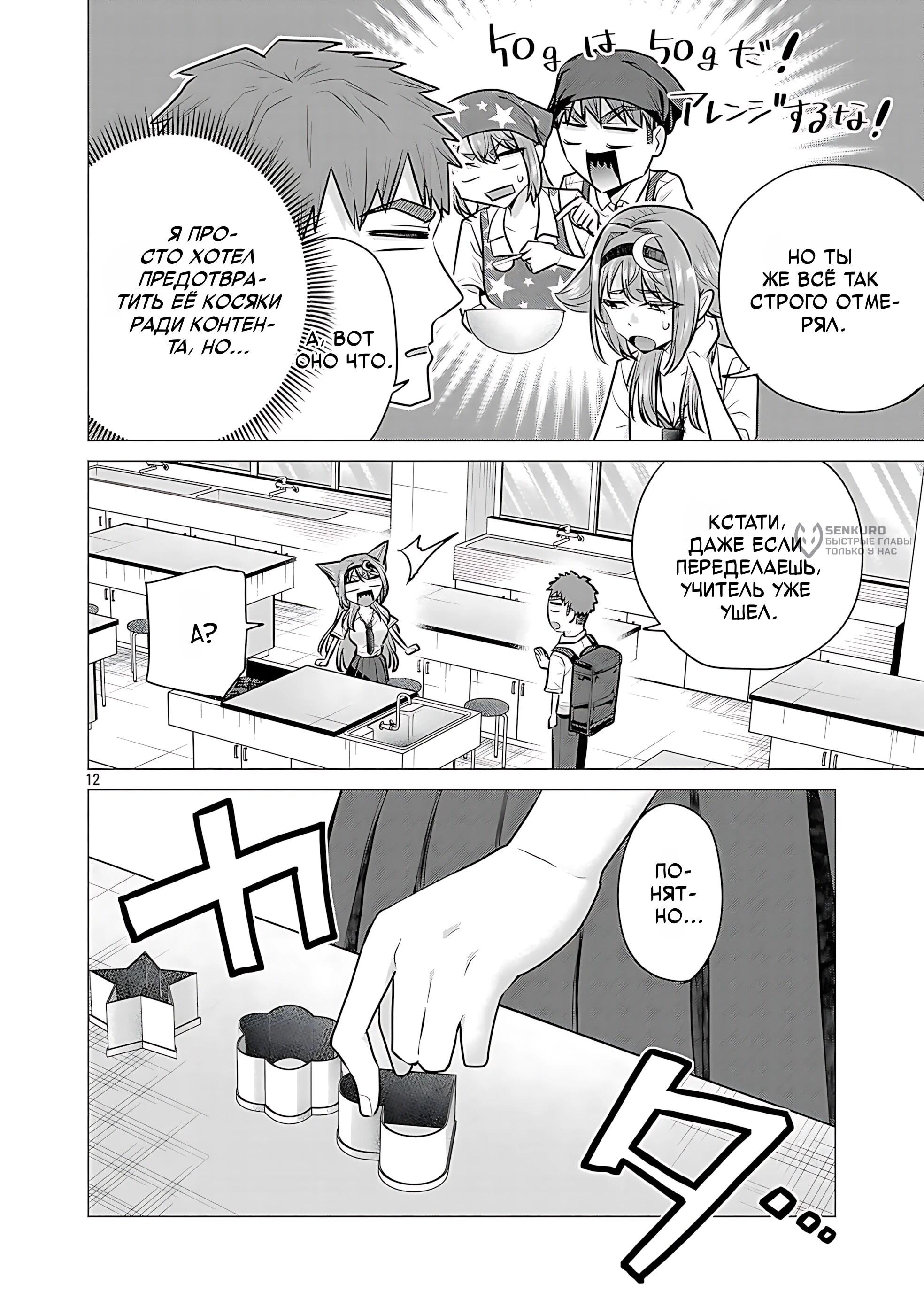 Страница 12