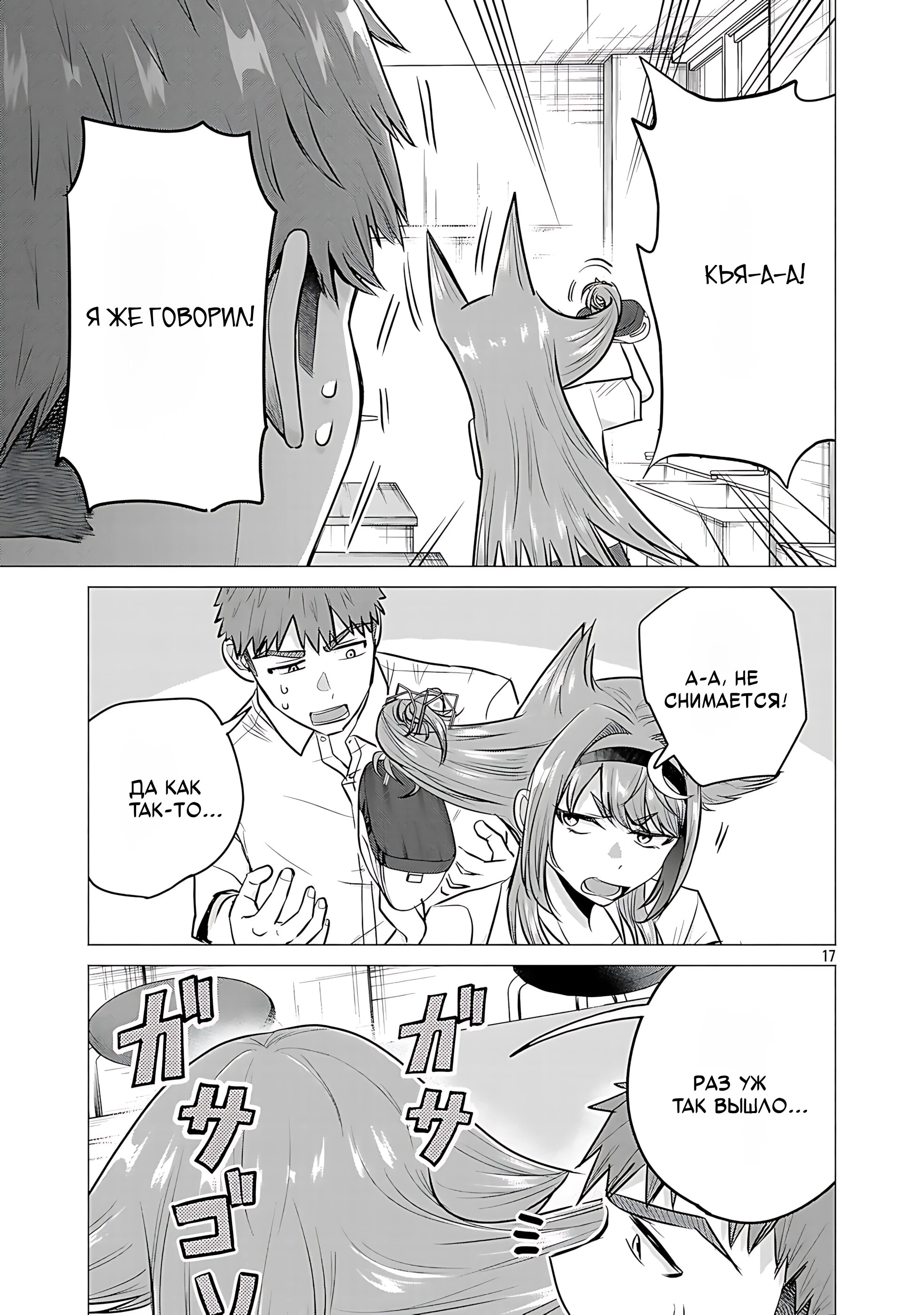 Страница 17