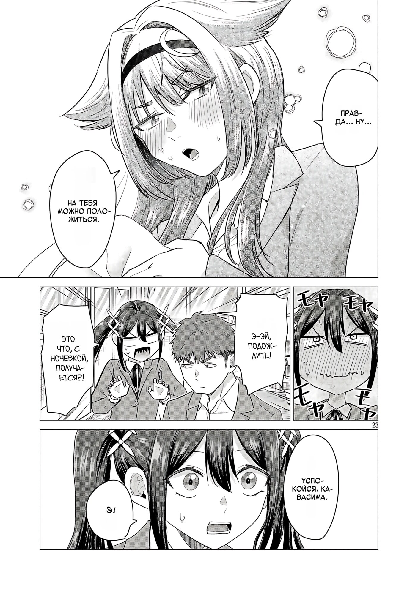 Страница 23