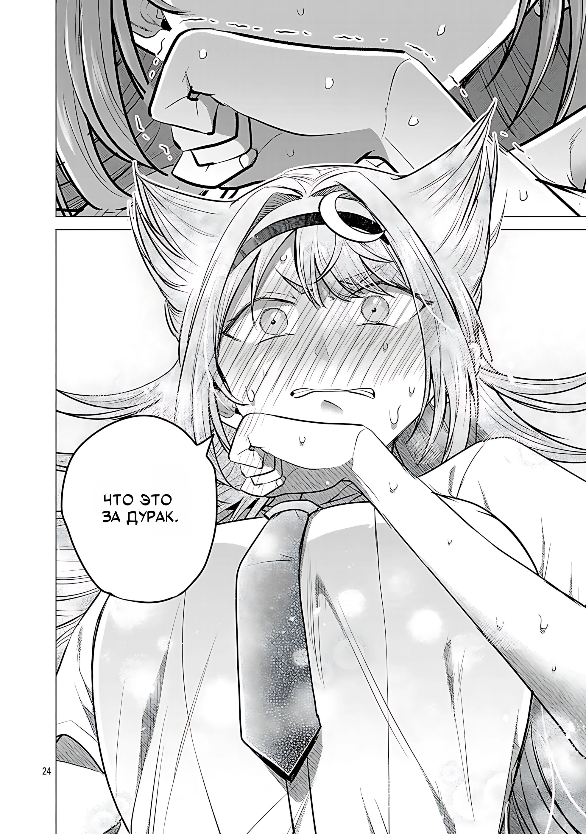 Страница 24