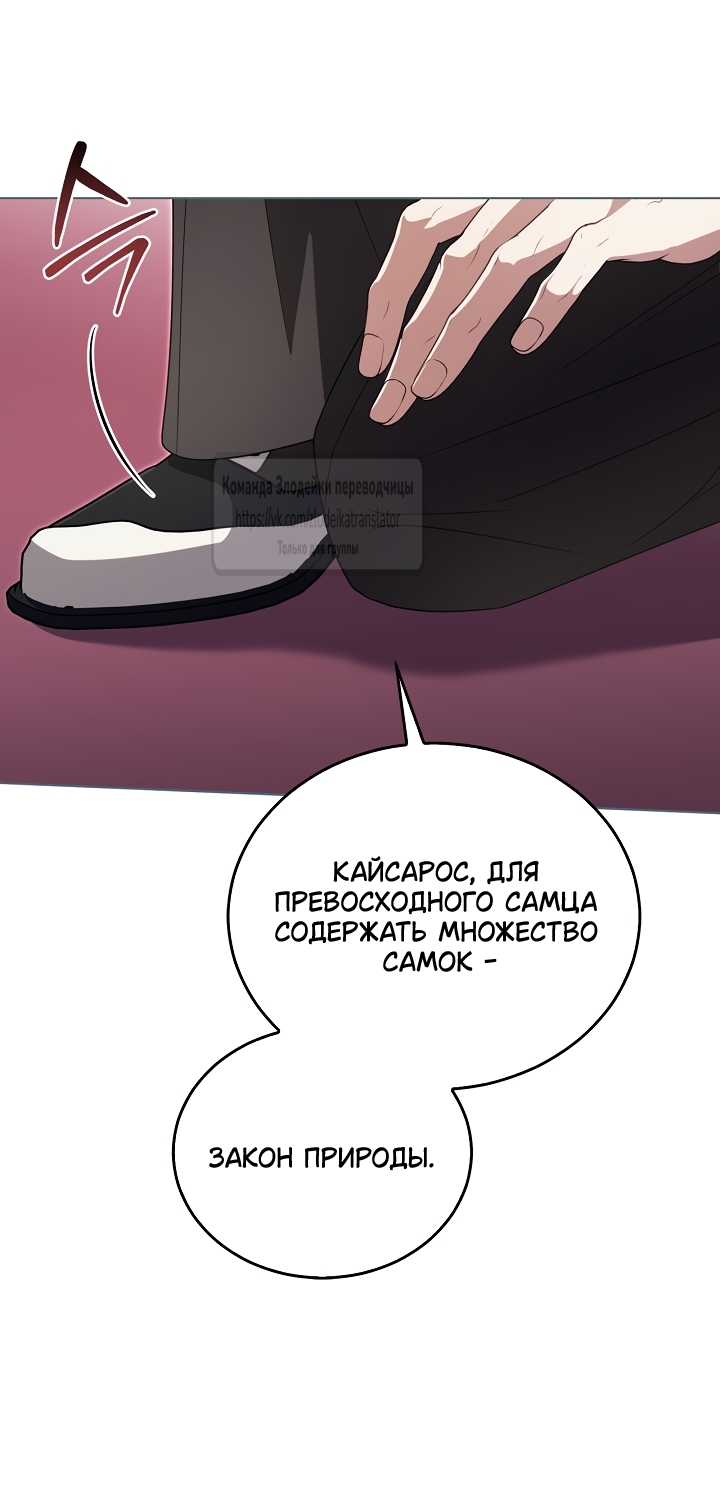 Страница 51