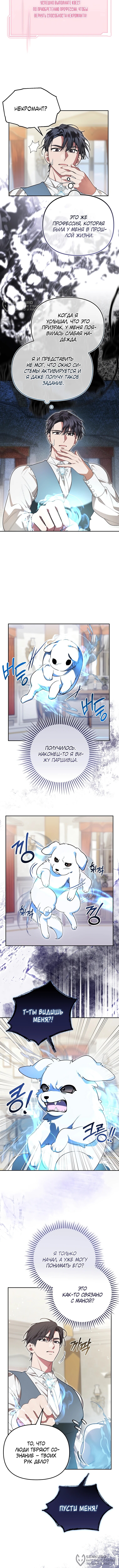 Страница 8