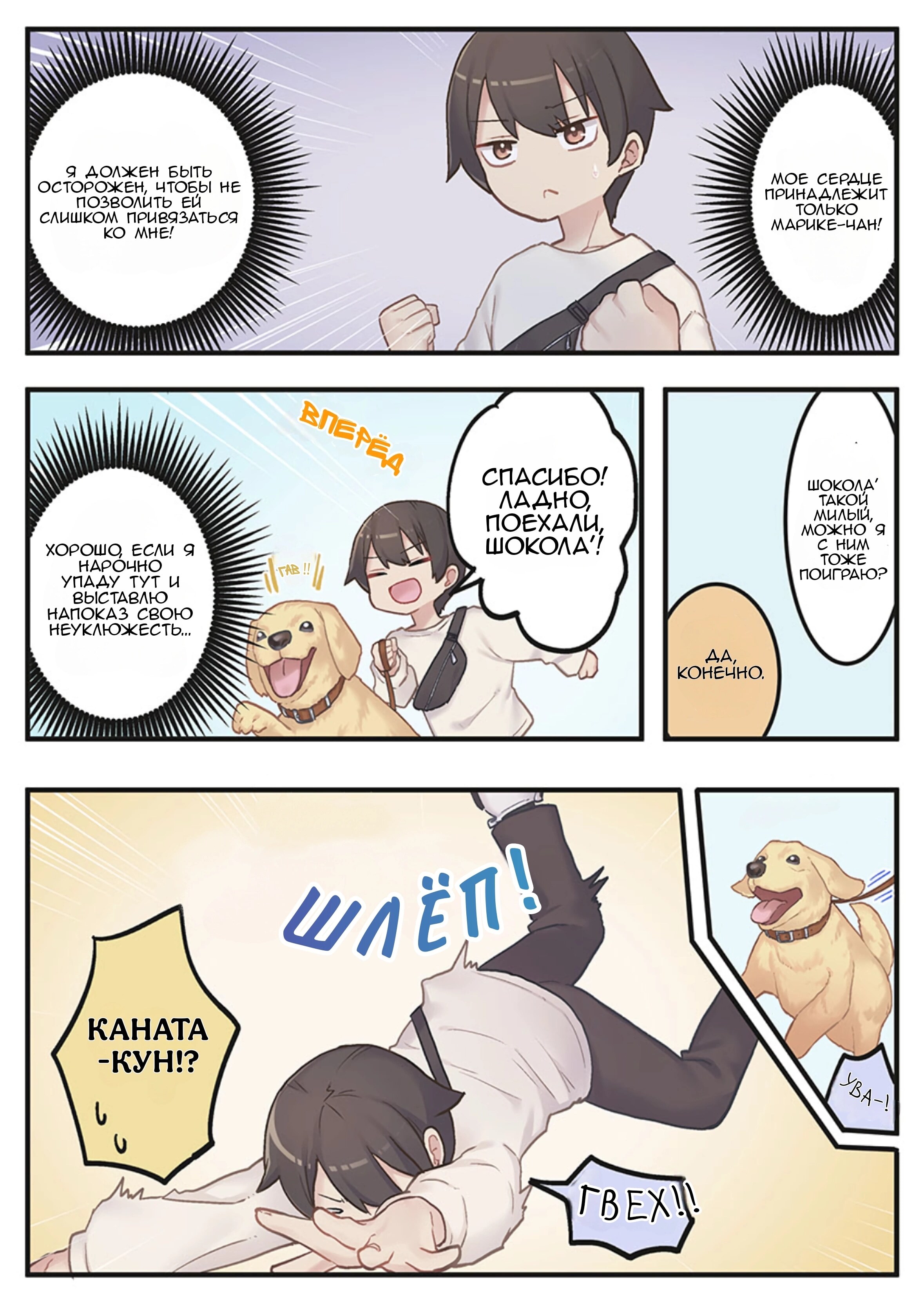 Страница 13