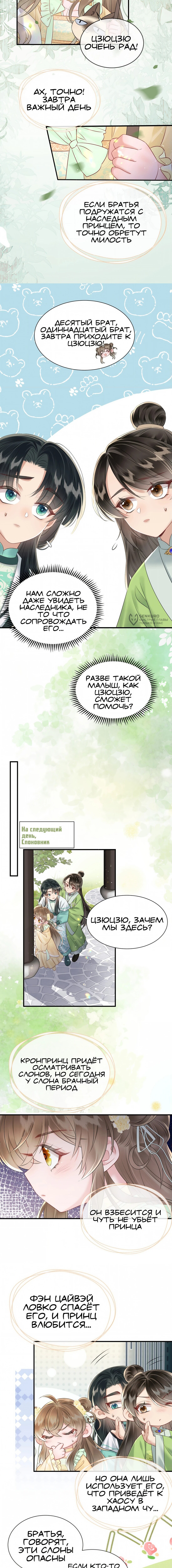 Страница 7