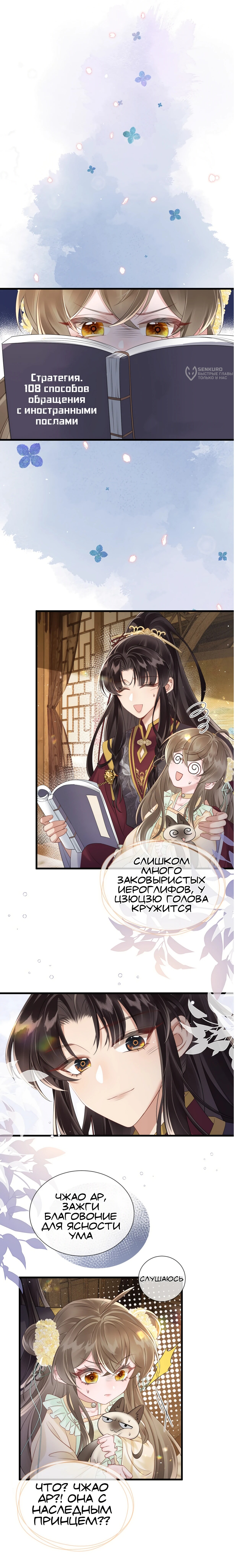 Страница 8