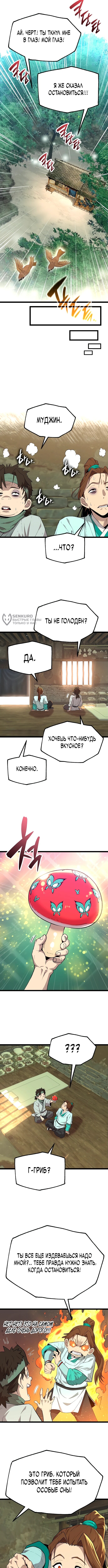Страница 11