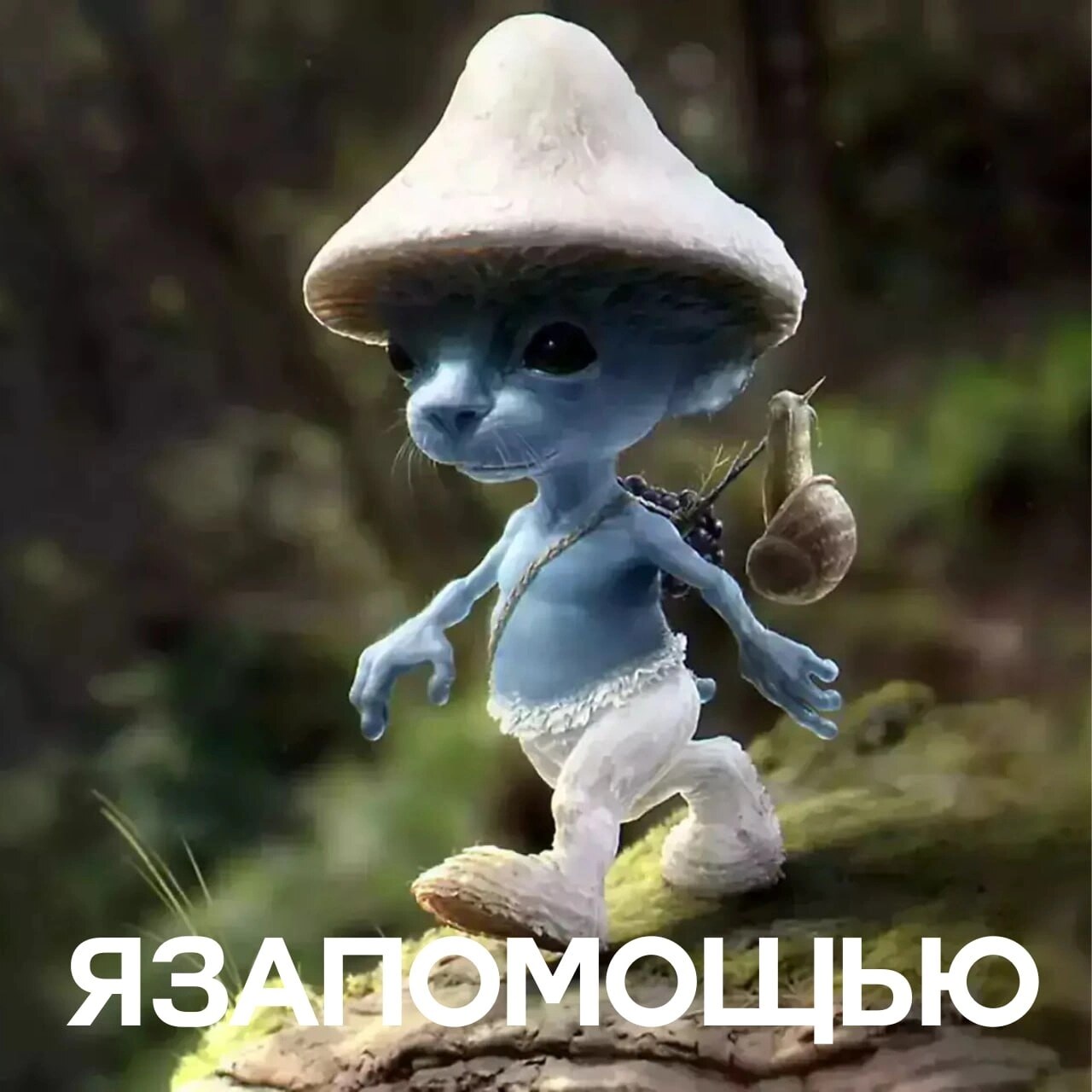 Страница 5