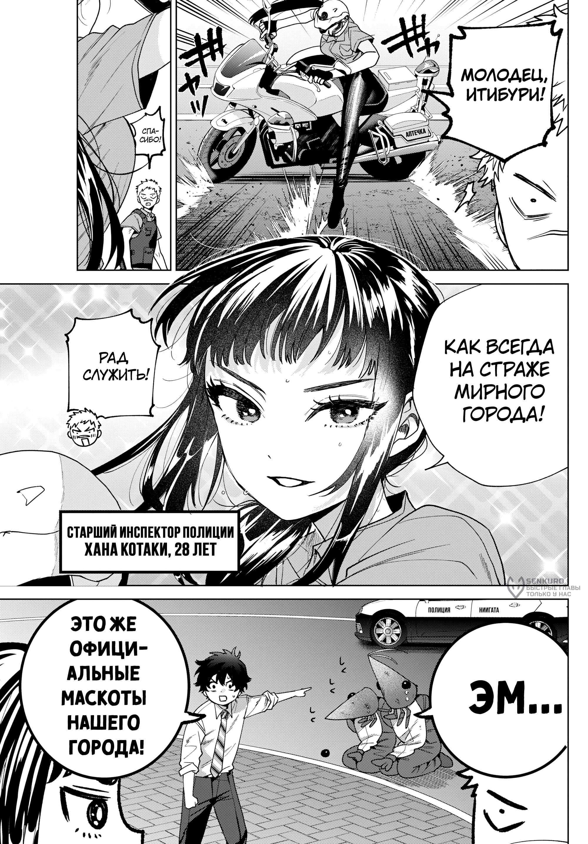 Страница 17