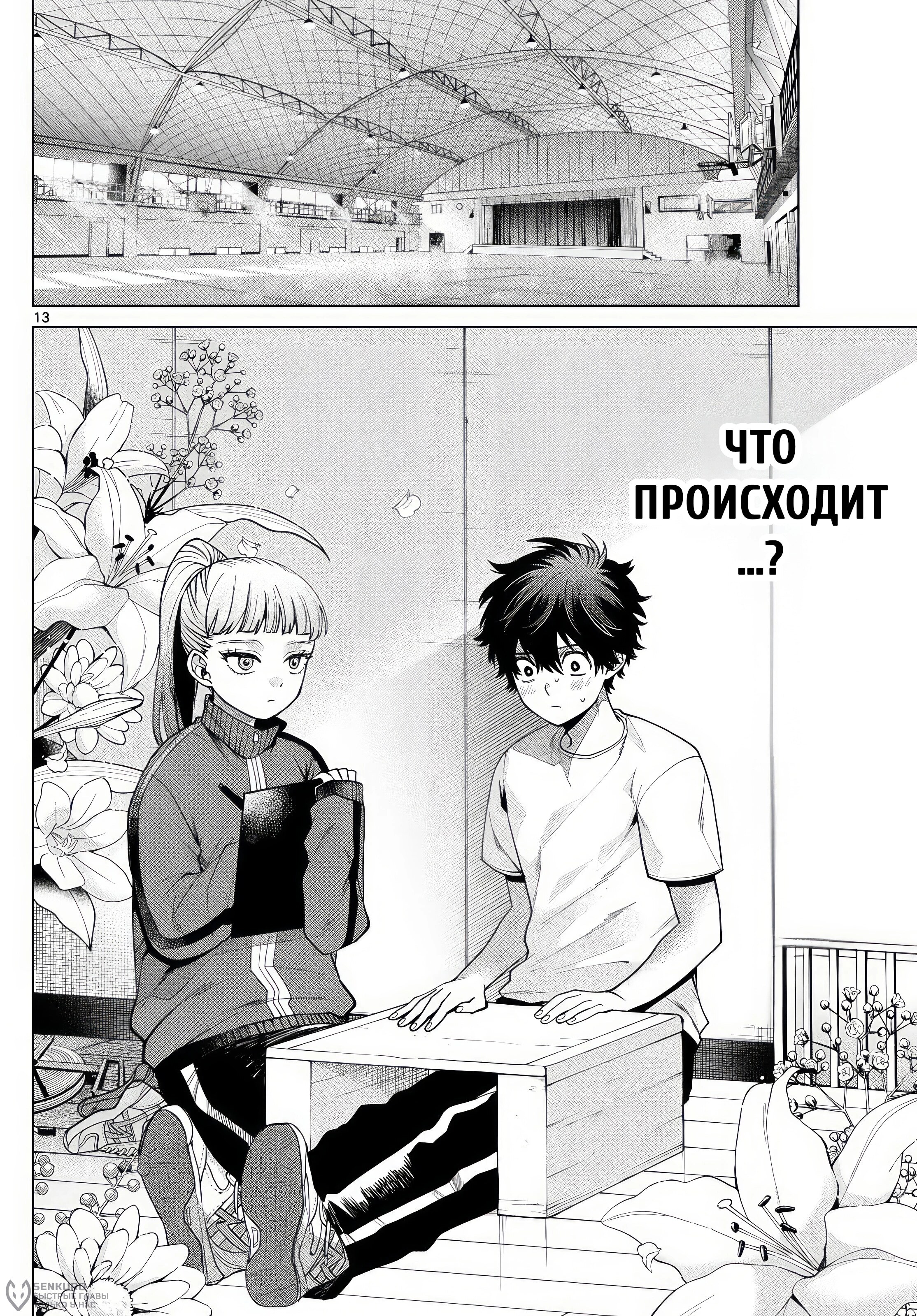 Страница 13