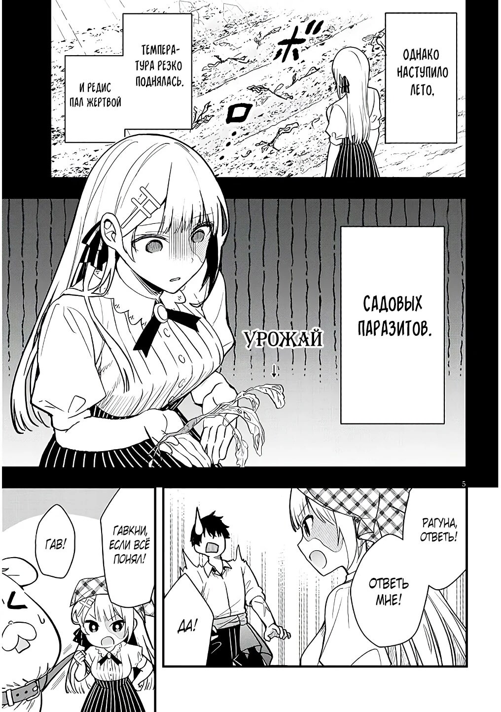 Страница 5