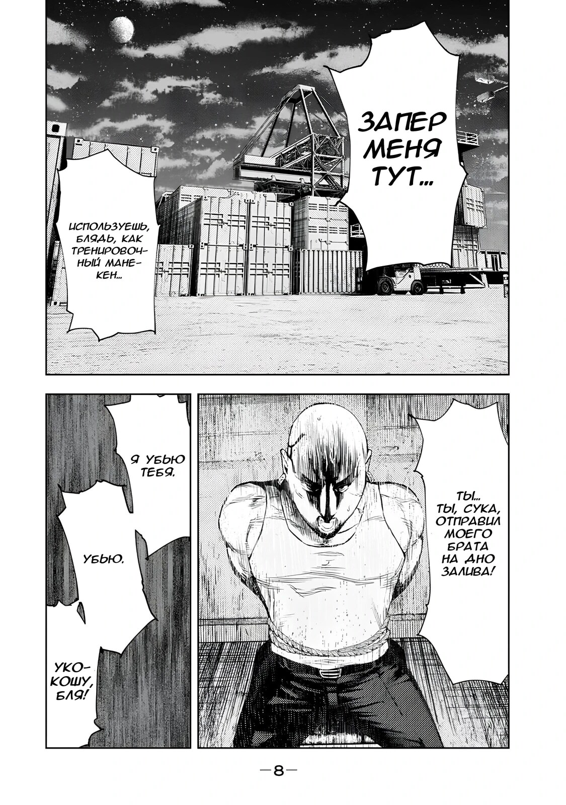Страница 8