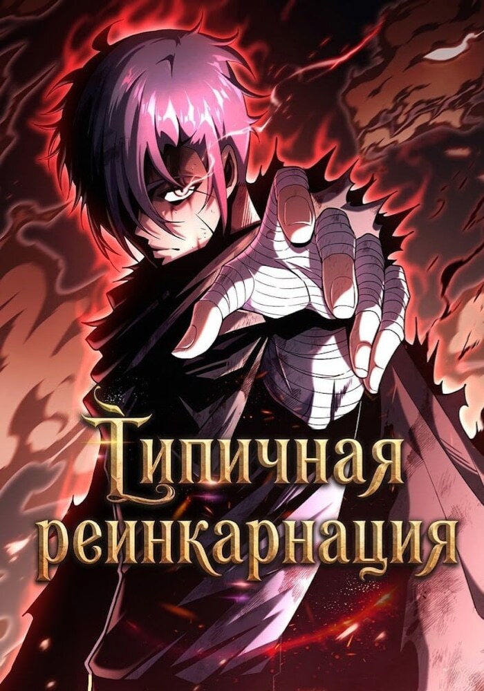 Типичная реинкарнация - Обложка
